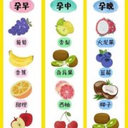 孕初期吃什么水果对胎儿好（孕早期可以吃鸽子吗）