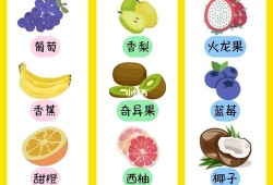 孕初期吃什么水果对胎儿好（孕早期可以吃鸽子吗）