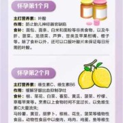 感到很好奇，胎儿在肚子里靠吃什么补充营养,胎儿如何吸收母体营养呢