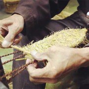 《打草鞋》（选段）孙存蝶,孕期梦到掉牙齿是什么预兆解梦