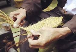 《打草鞋》（选段）孙存蝶,孕期梦到掉牙齿是什么预兆解梦