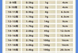 孕期怎么增高（孕期怎么增高身高）