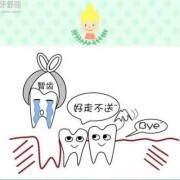 拔牙要多久才能要宝宝啊,备孕期可以拔牙吗智齿