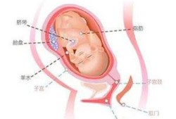 胎儿偏小是女孩吗（怀孕35周了，宝宝偏小两周多怎么办?会不会有影响啊）