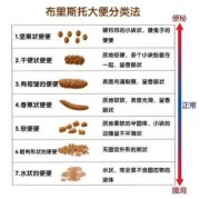 孕期大便不成形（怀孕初期大便不成形，这是怎么回事啊）