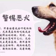 怀孕期间被狗咬了（怀孕期间狗咬了对宝宝有影响吗）