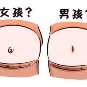怀上女孩有几个状态,孕期会排卵吗?