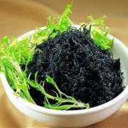 紫菜什么人不适合吃,孕期可以吃紫菜吗早期
