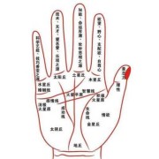 男女掌纹一样是什么意思,妊娠纹与胎儿性别吗有关系吗