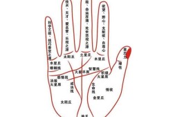 男女掌纹一样是什么意思,妊娠纹与胎儿性别吗有关系吗