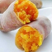 孕期吃番薯（孕妇能吃地瓜吗，怀孕期间需要注意什么）