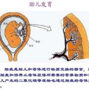 胎儿通过胎盘从母体获得（胎儿通过胎盘从母体获得）