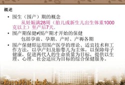 围产期是什么意思,胎儿死亡率最高的时期