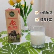 备孕期间喝什么牛奶好（备孕期间喝什么牛奶好女性）