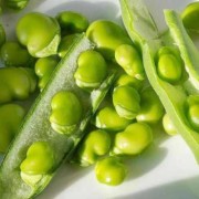 孕期梦到蚕（蚕豆代表什么寓意）