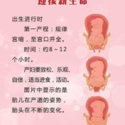 胎儿娩出的七个步骤（胎儿娩出的七个步骤衔接）