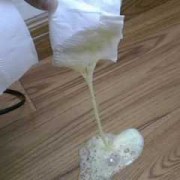 乌龟吐白泡沫是怎么回事,孕期吐白色泡沫是怎么回事