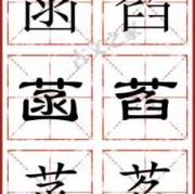 胎儿拼音（胎儿拼音怎么读）