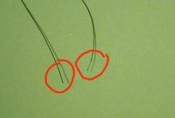 孕期不掉头发（理发器剃不掉头发是什么原因）