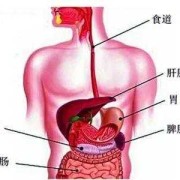 胎儿脾脏（胎儿脾脏钙化灶是什么意思）