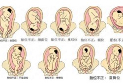 胎儿在肚子的左边还是右边（胎动在右边吗）