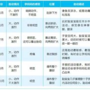 5个月胎儿胎动次数（5个月胎儿胎动次数多少正常）