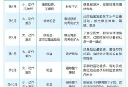 5个月胎儿胎动次数（5个月胎儿胎动次数多少正常）
