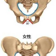 胎儿什么时候入骨盆,胎儿盆骨如何看男女