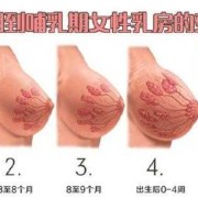 孕期胸不疼（孕期胸不疼了是怎么回事）
