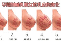 孕期胸不疼（孕期胸不疼了是怎么回事）