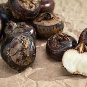 孕妇吃马蹄对胎儿好吗（8个月宝宝能吃马蹄吗）
