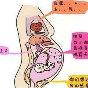 宫缩时胎儿动得厉害（宫缩对胎儿的影响有哪些）