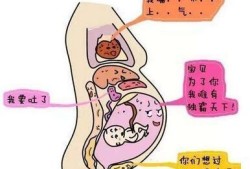 宫缩时胎儿动得厉害（宫缩对胎儿的影响有哪些）