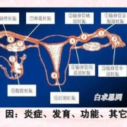 炎症怀孕对胎儿的影响（炎症怀孕对胎儿的影响有哪些）