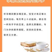 孕期豆浆食谱（孕期每天喝豆浆喝多少）