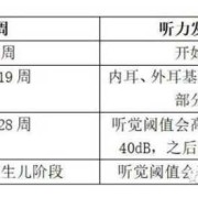 噪音对胎儿的影响（噪音对胎儿的影响有多大?）