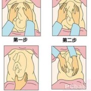 胎儿右枕前位是什么意思（胎儿右枕前位图片示意图）