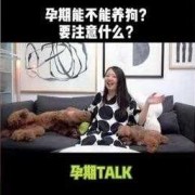 孕期可以养狗吗（怀孕期间家里养狗对胎儿有什么影响）
