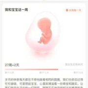 81天孕期（89天是什么意思）
