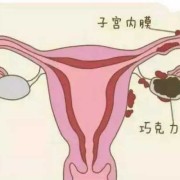 卵巢囊肿影响胎儿发育（卵巢囊肿影响胎儿发育吗）