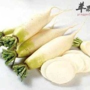 孕妇吃白萝卜对胎儿好吗（孕妇吃白萝卜对胎儿好吗有营养吗）