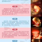 3d胎儿发育过程视频（3d和4d视频区别）