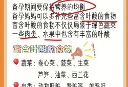 备孕期要吃什么（备孕期要吃什么食物）