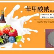 防腐剂对胎儿的影响（含有苯甲酸钠的东西孕妇可以吃吗）