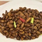 孕妇吃蚕蛹对胎儿好吗（孕妇吃蚕蛹对胎儿好吗后三个月）