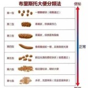 我已经怀孕5个月了，还每天3次大便，大便不太成形，怎么办,孕期大便不成型对宝宝有影响吗