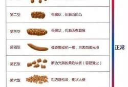 我已经怀孕5个月了，还每天3次大便，大便不太成形，怎么办,孕期大便不成型对宝宝有影响吗