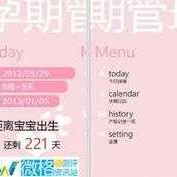 孕期记录文案,孕期记录软件