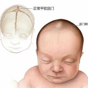 胎儿枕下前囟径（胎儿枕下前囟径的正常值是?）