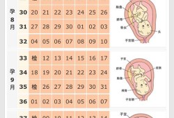 10月怀胎总共是多少天,孕期10月怎么算